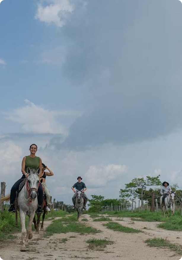 home-exterior-2025-01-28-03-51-06-utc.webp (1)